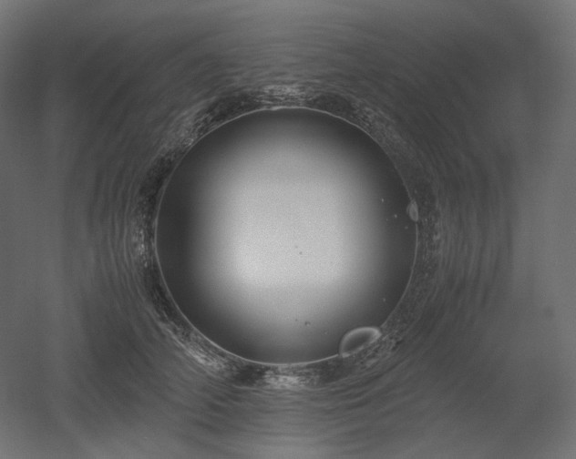 X0000052630706200507011320