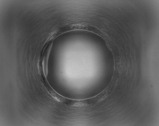 X0000052630708200507011320
