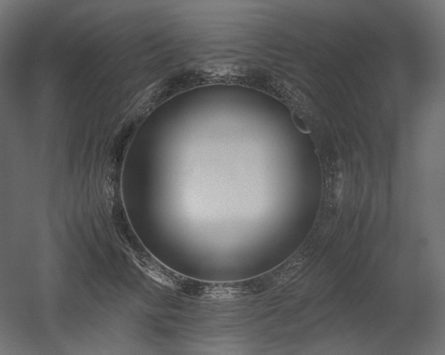 X0000052630710200507011320