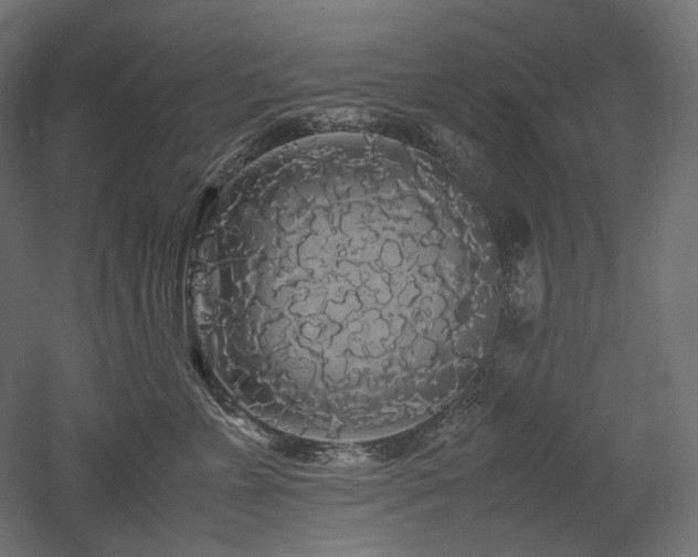 X0000052630715200507011320