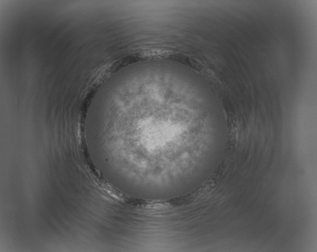 X0000052630716200507011320