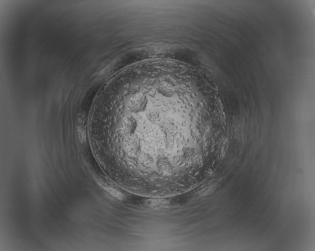 X0000052630719200507011320
