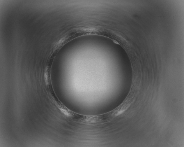 X0000052630720200507011320