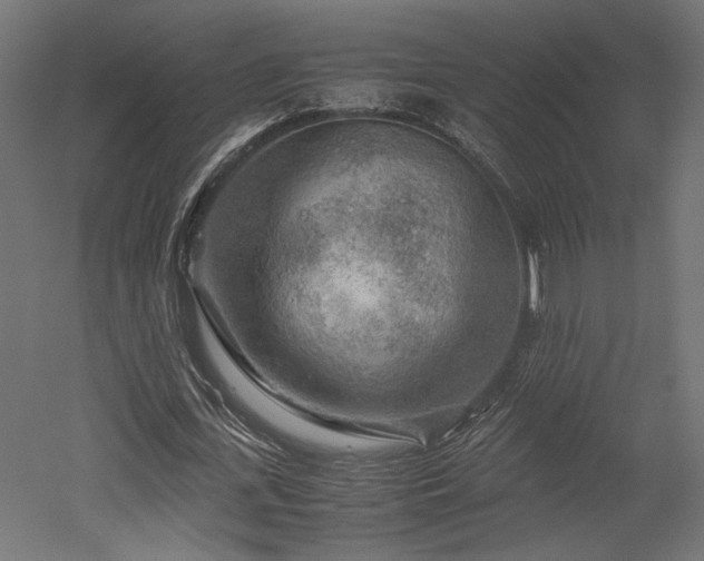 X0000052630723200507011319