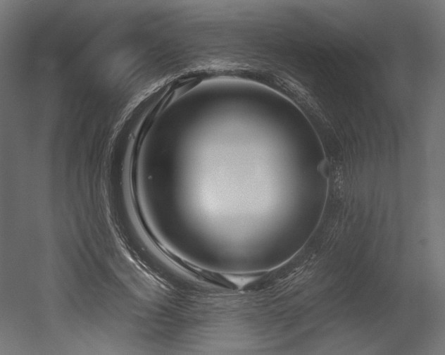 X0000052630732200507011319