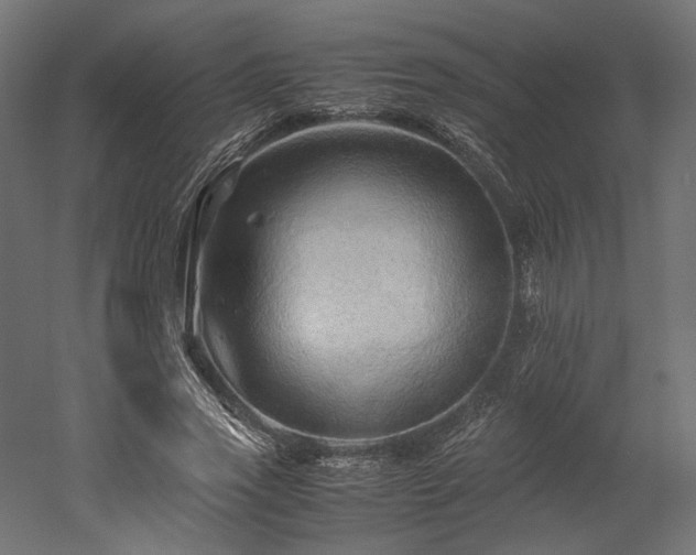 X0000052630733200507011319