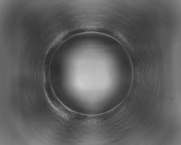 X0000052630734200507011319
