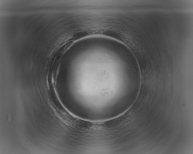 X0000052630742200507011319
