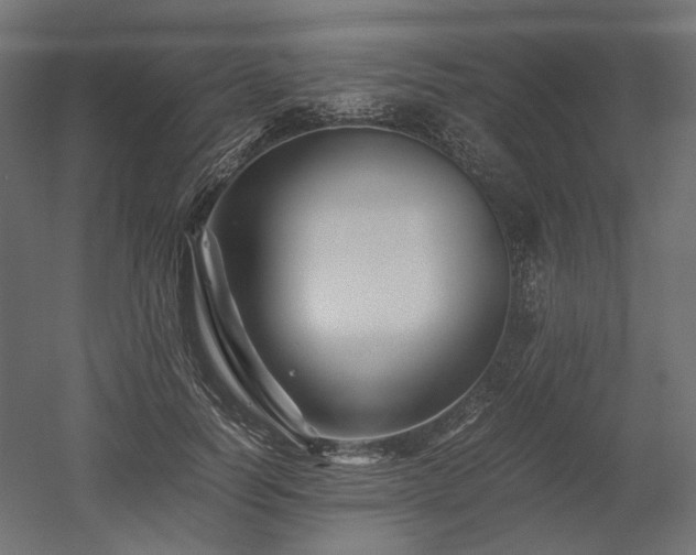 X0000052630746200507011319