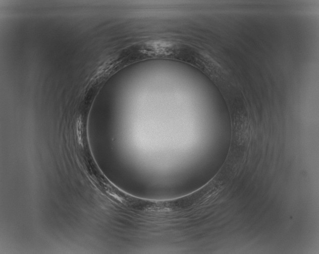 X0000052630747200507011319