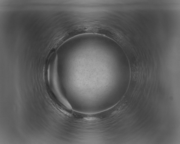 X0000052630748200507011319