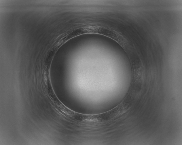 X0000052630749200507011319