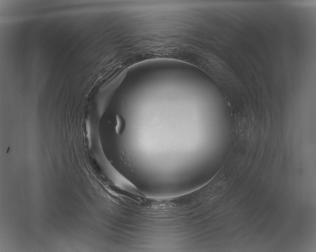 X0000052630752200507011320