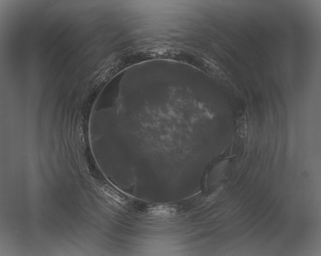 X0000052630754200507011320