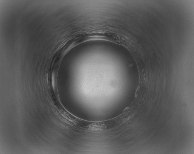X0000052630756200507011320