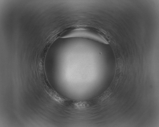 X0000052630761200507011320