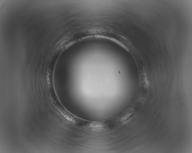 X0000052630762200507011320