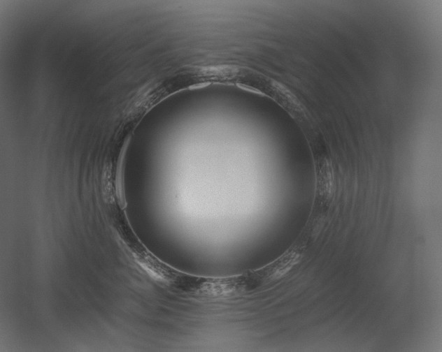 X0000052630764200507011320
