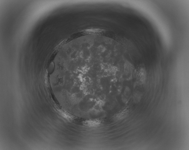 X0000052630765200507011320