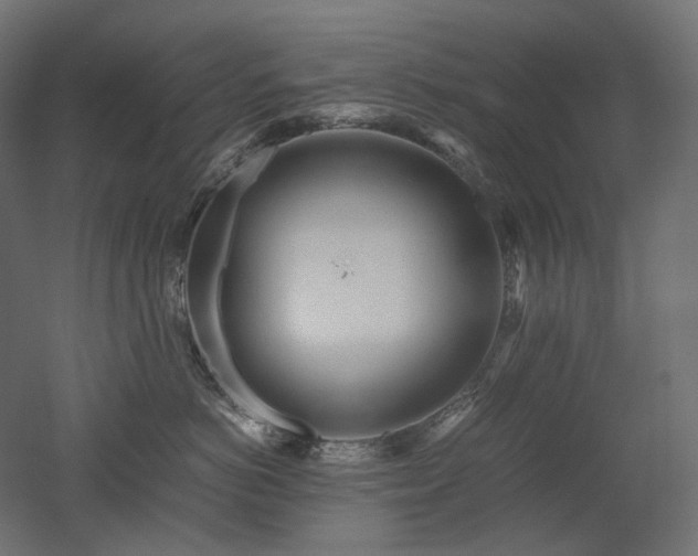 X0000052630766200507011320