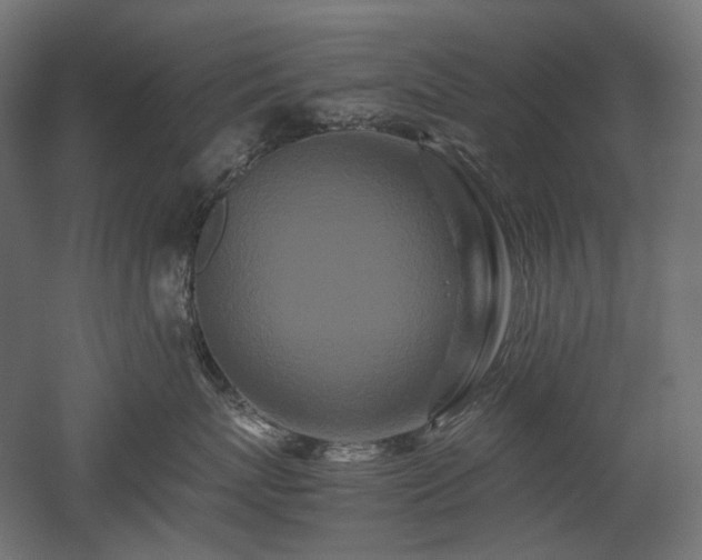 X0000052630767200507011320