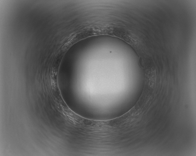 X0000052630770200507011319