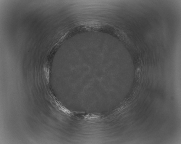 X0000052630772200507011319