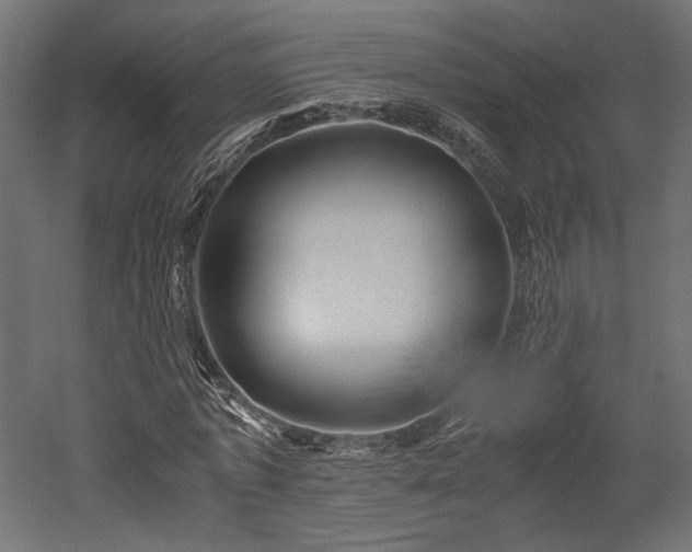 X0000052630773200507011319