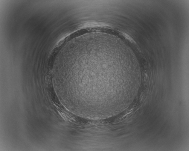 X0000052630775200507011319