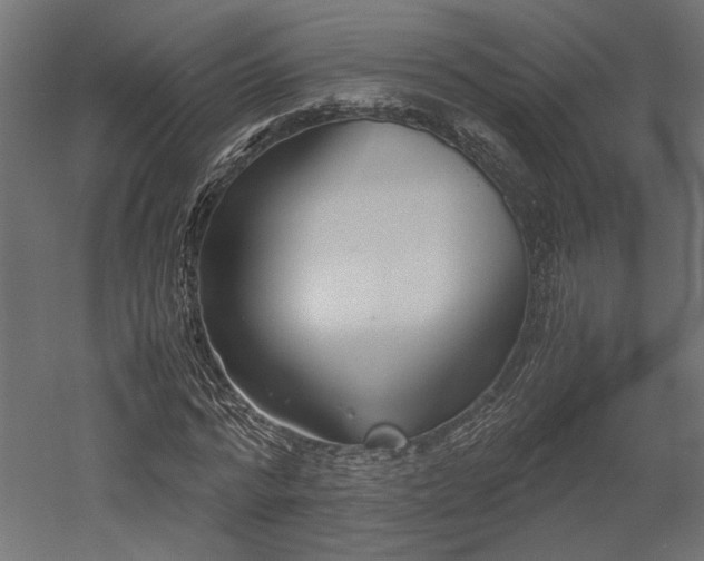 X0000052630776200507011319
