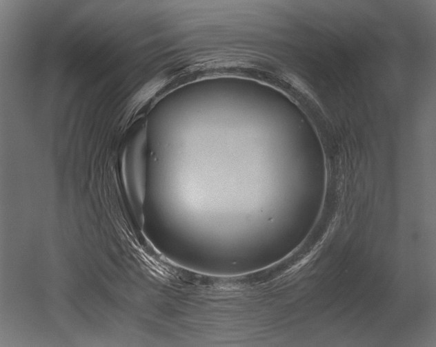 X0000052630777200507011319