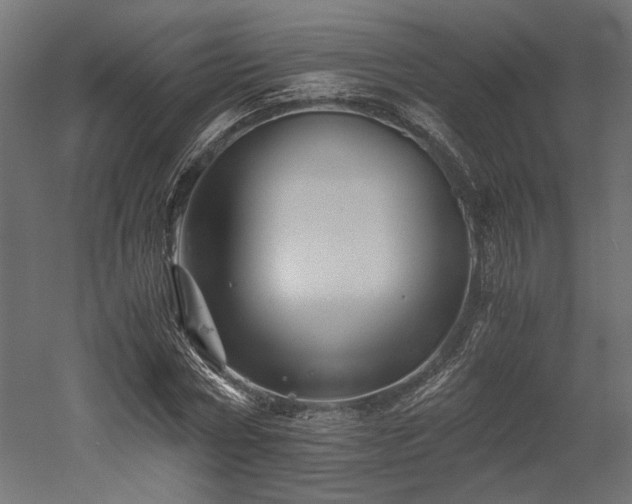 X0000052630778200507011319