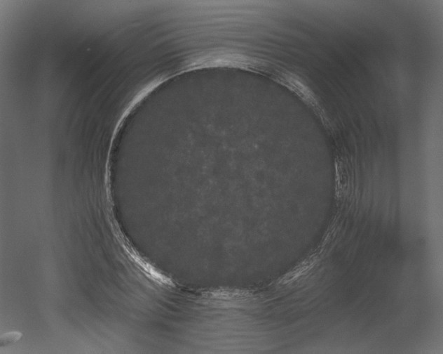 X0000052630780200507011319