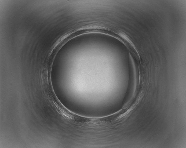 X0000052630781200507011319