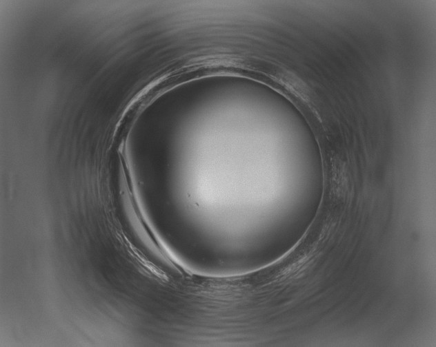 X0000052630782200507011319