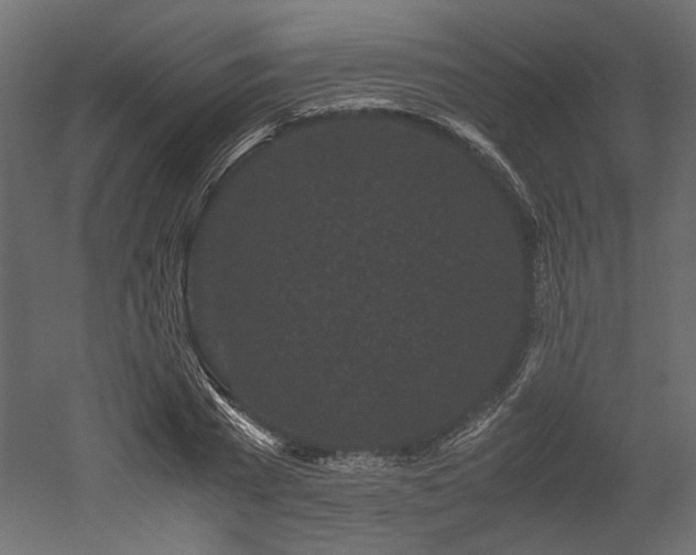 X0000052630785200507011319