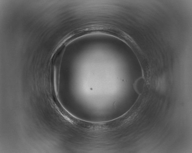 X0000052630786200507011319