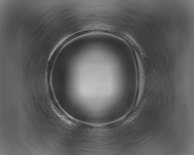 X0000052630788200507011319