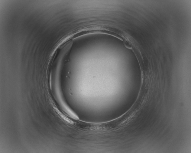 X0000052630789200507011319