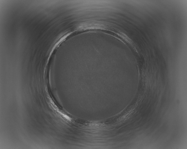 X0000052630790200507011319