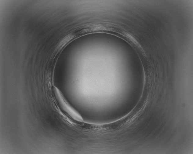 X0000052630793200507011319