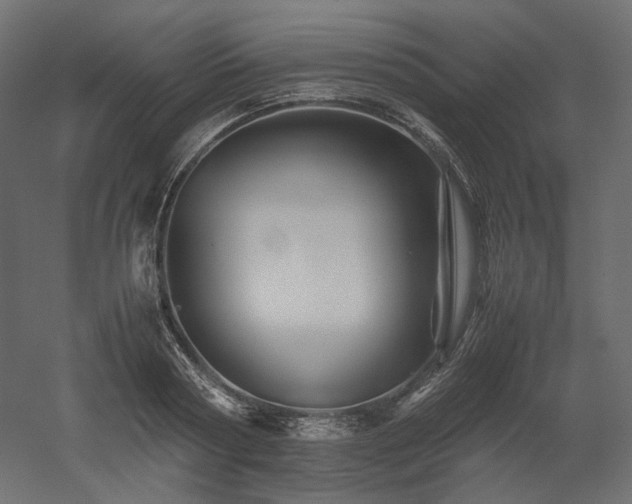 X0000052630794200507011319
