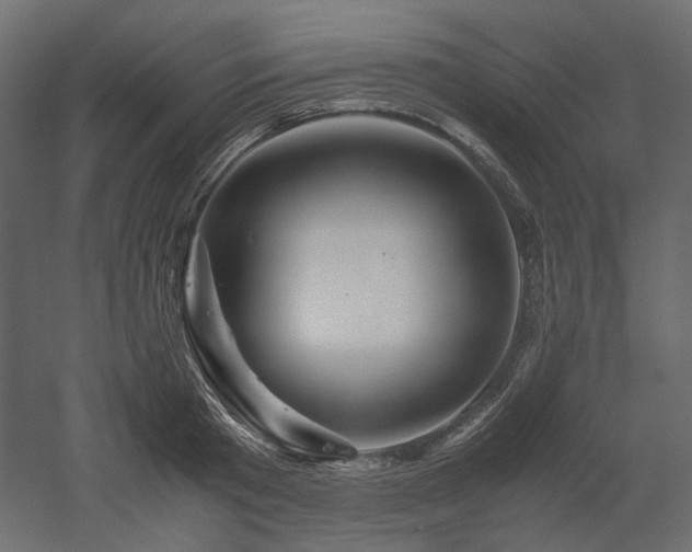 X0000052630801200507011318