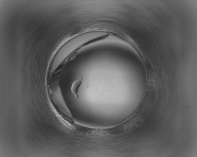 X0000052630803200507011318