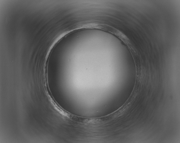 X0000052630808200507011318