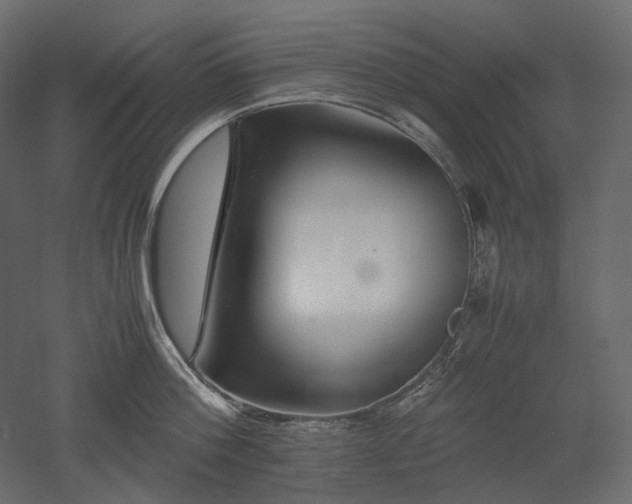 X0000052630812200507011318