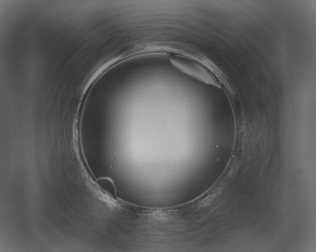 X0000052630814200507011318