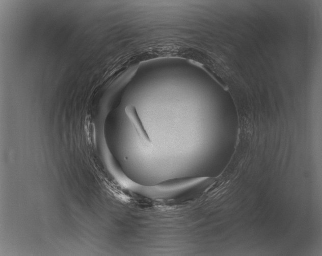 X0000052630818200507011317