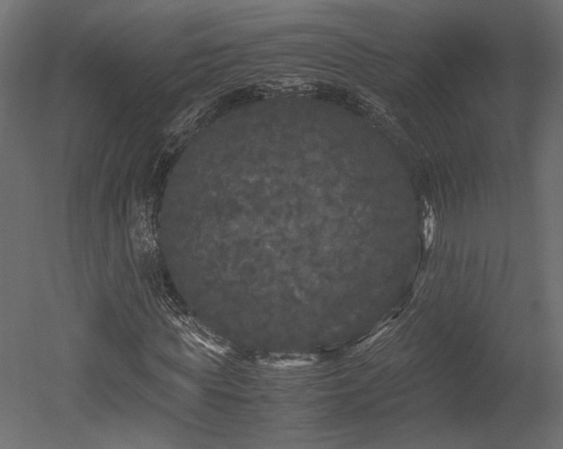 X0000052630819200507011317