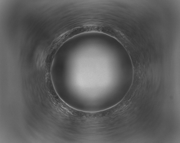 X0000052630821200507011317